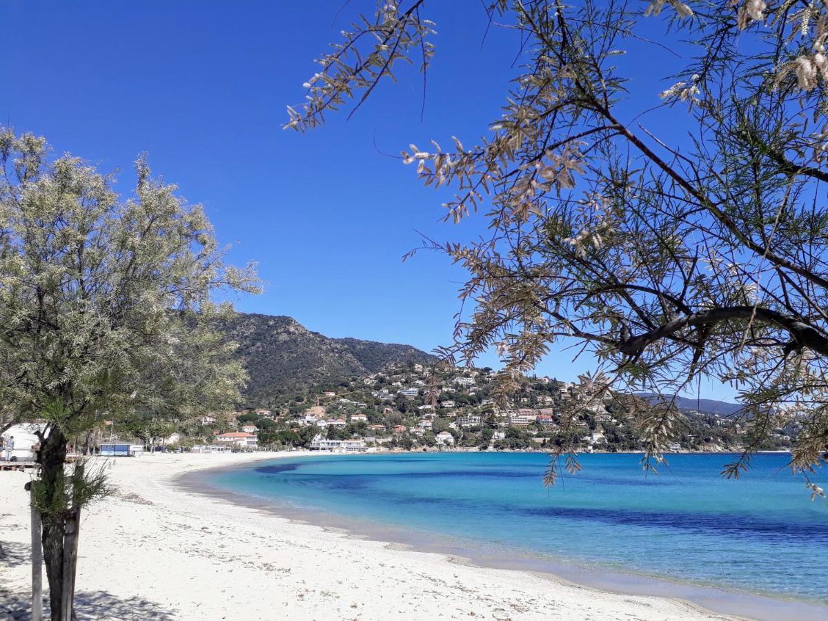 Appartement Duplex - 100M De La Plage De St Clair ル・ラヴァンドゥー エクステリア 写真
